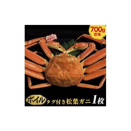 ふるさと納税 カニ 松葉ガニ 鳥取県 北栄町 早期受付 ボイル タグ付き松葉ガニ 中1枚(700g前後)[かに カニ 蟹 ズワイガニ ] 着日指定不可 2025年11月上…