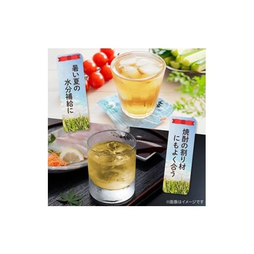 ふるさと納税 お茶類 山梨県 山梨市  毎月定期便 とうもろこしのおいしいひげ茶 500ml 24本 計12L サーフビバレッジ全6回 4068315の画像