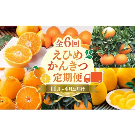 ふるさと納税 果物類 みかん 愛媛県 上島町 発送月固定定期便 2026年11月発送開始 えひめかんきつ定期便 全6回 みかん 柑橘 定期便 6ヶ月