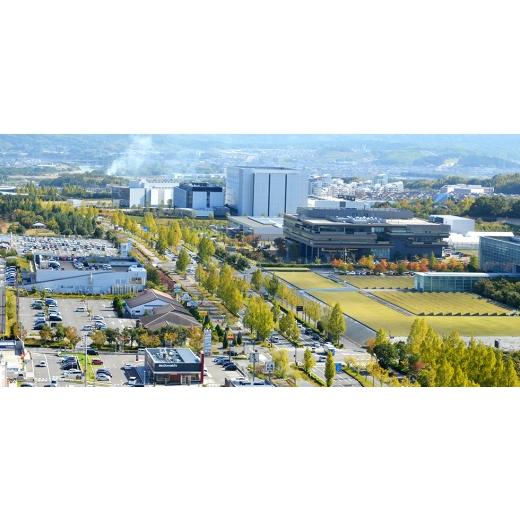 ふるさと納税 雑貨・日用品 京都府 精華町 京町セイカ ダーツセット