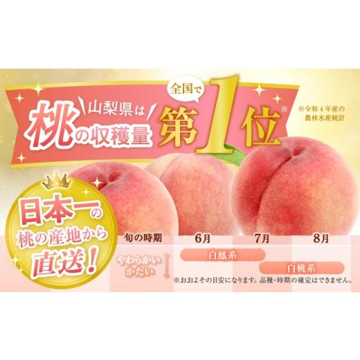 ふるさと納税 もも 山梨県 甲州市 甲州市産厳選旬の桃大玉 約2kg 5〜6玉入り 2026年発送 （MG）B-481 2026年発送の画像