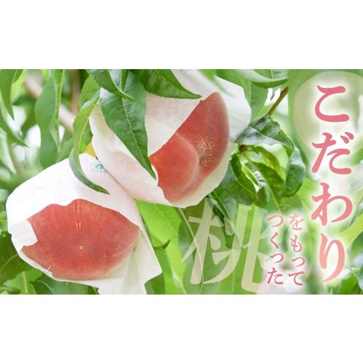 ふるさと納税 もも 山梨県 甲州市 甲州市産厳選旬の桃大玉 約2kg 5〜6玉入り 2026年発送 （MG）B-481 2026年発送の画像