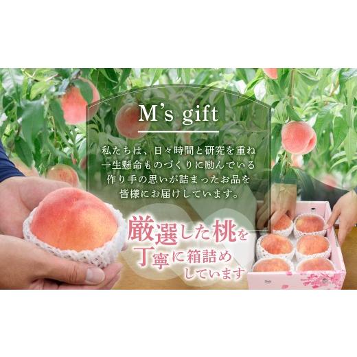 ふるさと納税 もも 山梨県 甲州市 甲州市産厳選旬の桃大玉 約2kg 5〜6玉入り 2026年発送 （MG）B-481 2026年発送の画像