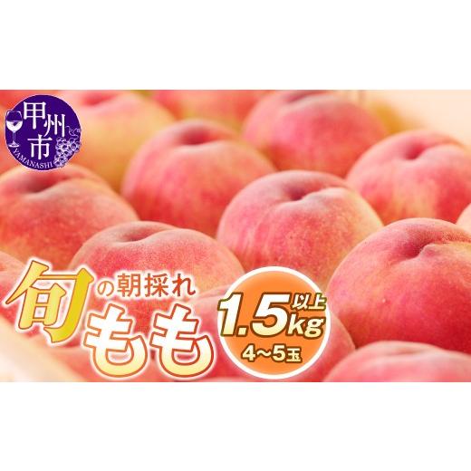 ふるさと納税 もも 山梨県 甲州市 旬の朝採れ特選大玉もも 1.5kg以上(4〜5玉) 2027年発送 (HO)B-414 2027年発送