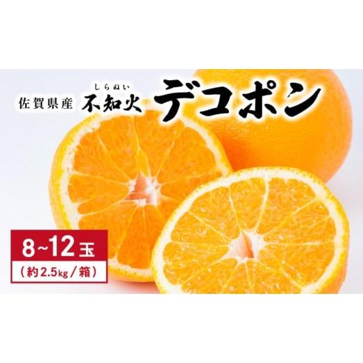 ふるさと納税 果物類 みかん 佐賀県 大町町 先行予約 佐賀産 デコポン8〜12玉(約2.5kg箱)/ふるさと納税 佐賀 フルーツ濃厚 甘い 酸味 大町 贈答 ギフト 贈り…