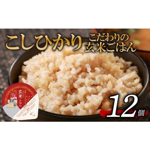 ふるさと納税 玄米 大阪府 松原市 こしひかり 玄米ごはんパック 120g 12個 玄米 米 お米 ごはん ご飯 こめ パックライス パックご飯 パックごはん ご飯パック …