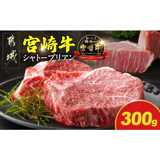 ふるさと納税 牛肉 ヒレ 宮崎県 都城市 宮崎牛シャトーブリアンステーキ150gx2枚 (都城市) 宮崎県産宮崎牛 シャトーブリアン ステーキ ミヤチク ヒレ …
