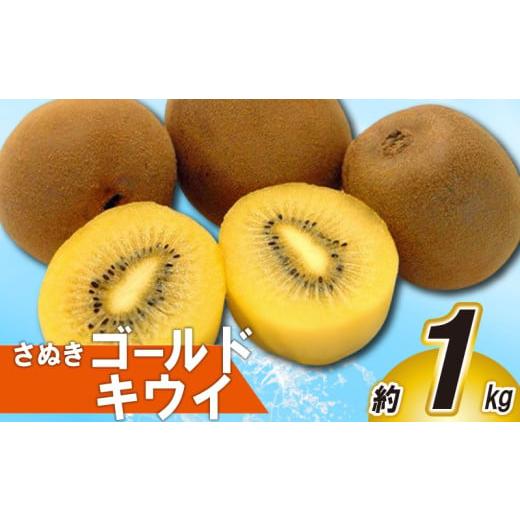 ふるさと納税 果物類 香川県 丸亀市 先行予約 キウイ 約1kg キウイフルーツ ゴールドキウイ さぬきゴールドキウイ 果物 果実 フルーツ 旬 デザート 選べる 容…