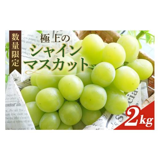 ふるさと納税 ぶどう マスカット 茨城県 小美玉市 数量限定・先行予約 シャインマスカット 数量限定 2kg 農園直送 期間限定 果物 フルーツ ブドウ 葡萄 ぶど…