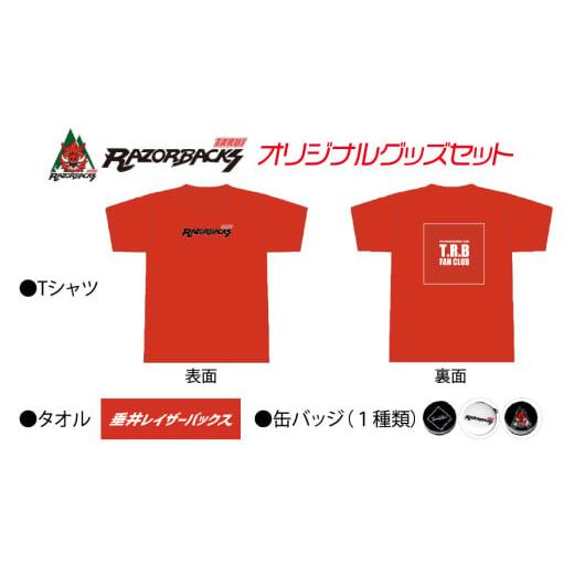 ふるさと納税 スポーツ・アウトドア 岐阜県 垂井町 「垂井レイザーバックス」オリジナルグッズセット(TシャツLサイズ)|岐阜県 垂井町 スポーツチーム 3人制…