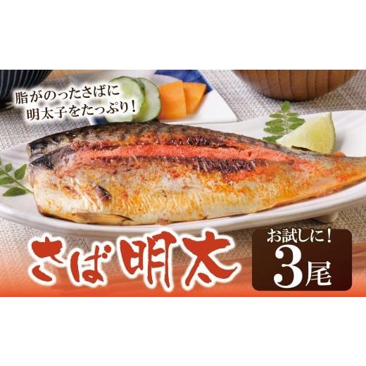 ふるさと納税 魚貝類 明太子 福岡県 福智町 W08-14 さば明太 3尾 明太子 めんたいこ 骨とり 明太 魚卵 海鮮 さば サバ 鯖 冷凍 大容量 小分け 人気 便利 おす…