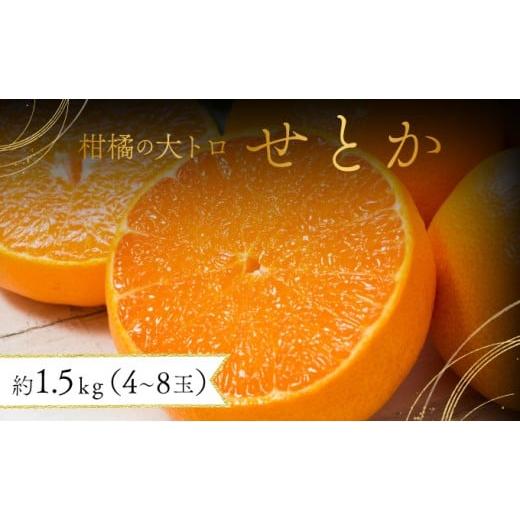 ふるさと納税 果物類 みかん 佐賀県 大町町 先行予約 みかんの「大トロ」佐賀産かんきつ・せとか 約1.5kg(4-8玉) / ふるさと納税 佐賀 フルーツ 濃厚 甘い …