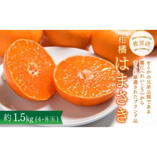 ふるさと納税 果物類 みかん 佐賀県 大町町 先行予約 佐賀産柑橘「はまさき」 約1.5kg(4-8玉) / ふるさと納税 佐賀 フルーツ 濃厚 甘い 酸味 大町 贈答 ギフ…