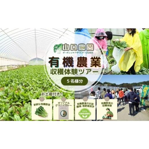 ふるさと納税 体験チケット 奈良県 宇陀市 有機農業 収穫体験 ツアー お土産付 5名様迄／ 農家 有機野菜 オーガニック 無農薬 SDGs 関西 チケット カレー 山口…の画像