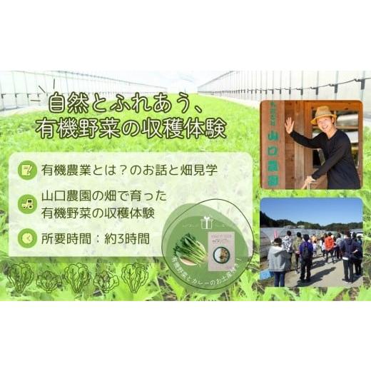 ふるさと納税 体験チケット 奈良県 宇陀市 有機農業 収穫体験 ツアー お土産付 5名様迄／ 農家 有機野菜 オーガニック 無農薬 SDGs 関西 チケット カレー 山口…の画像