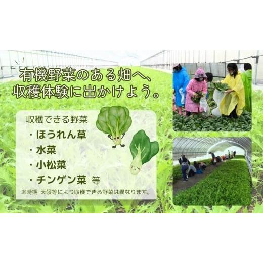 ふるさと納税 体験チケット 奈良県 宇陀市 有機農業 収穫体験 ツアー お土産付 5名様迄／ 農家 有機野菜 オーガニック 無農薬 SDGs 関西 チケット カレー 山口…の画像