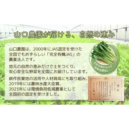 ふるさと納税 体験チケット 奈良県 宇陀市 有機農業 収穫体験 ツアー お土産付 5名様迄／ 農家 有機野菜 オーガニック 無農薬 SDGs 関西 チケット カレー 山口…の画像