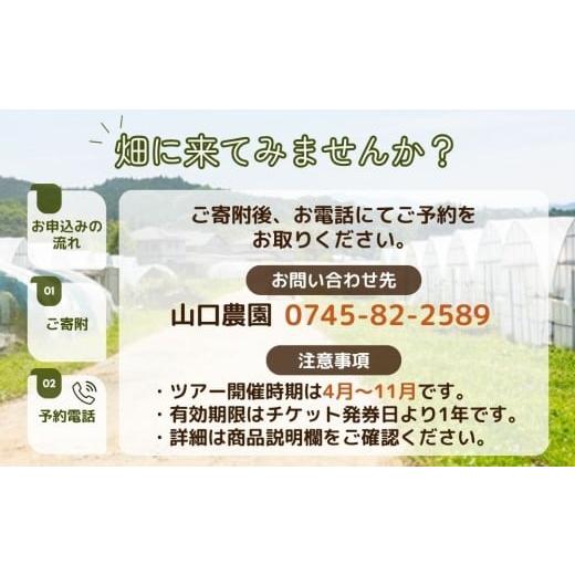 ふるさと納税 体験チケット 奈良県 宇陀市 有機農業 収穫体験 ツアー お土産付 5名様迄／ 農家 有機野菜 オーガニック 無農薬 SDGs 関西 チケット カレー 山口…の画像