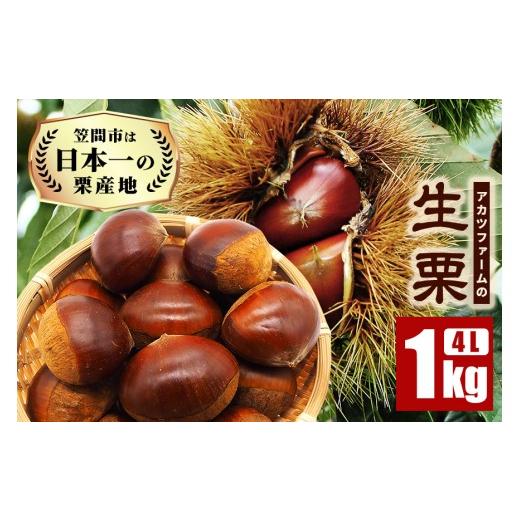 ふるさと納税 果物類 栗 茨城県 笠間市 生栗 1kg 超特大 4Lサイズ 栗 くり 国産 国産栗 和栗 ギフト プレゼント 特大 大きい 大粒 秋 旬 おやつ スイーツ 果物…