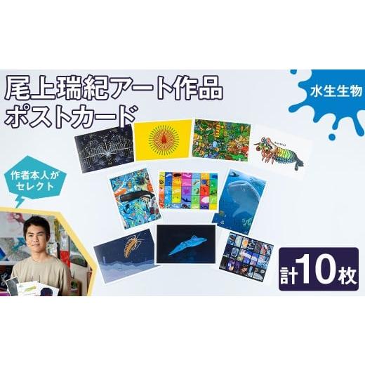 ふるさと納税 雑貨・日用品 はがき 京都府 宇治市 尾上瑞紀 アート作品 ポストカード(水生生物・計10枚) uj-FC001-C 尾上瑞紀 水生生物