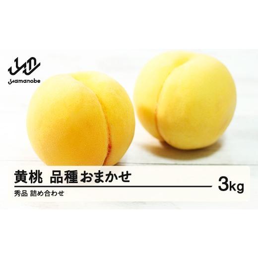 ふるさと納税 もも 山形県 山辺町 《先行予約》有袋黄桃 秀品 品種おまかせ 化粧箱入り 約3kg 令和8年産 2026年産 山形県産 果物 沖縄・離島への配送不可 ns-m…の画像