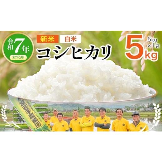 ふるさと納税 米 コシヒカリ 福島県 本宮市 令和7年産 福島県産コシヒカリ5kg(5kg×1) 白米 07214-0430 5kg(5kg×1)