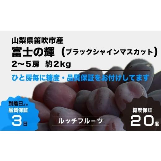ふるさと納税 ぶどう 山梨県 笛吹市 2026年発送 糖度20度保証付 ブラックシャインマスカット「富士の輝」約2kg 2〜5房／日テレ「ZIP 」TBS「ひるおび」にて紹…の画像