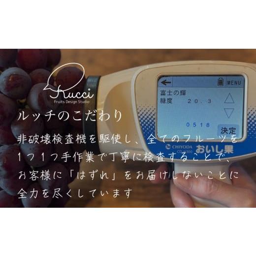 ふるさと納税 ぶどう マスカット 山梨県 笛吹市 2026年発送 全房糖度保証付 ブラックシャインマスカット「富士の輝」食べ比べセット 合計約2kg 2〜5房／日テレ…の画像