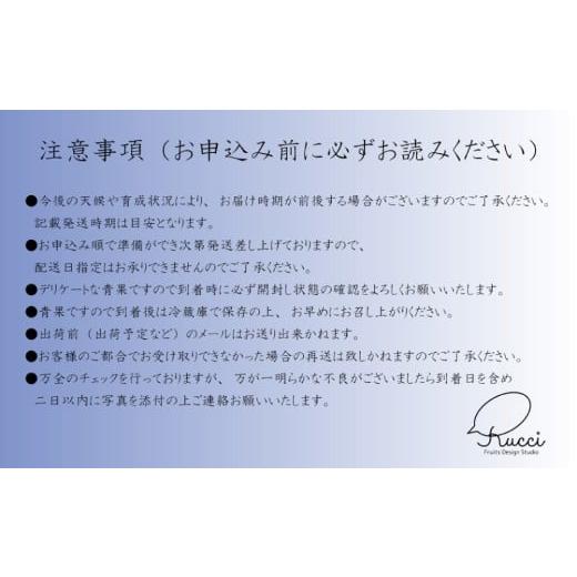 ふるさと納税 ぶどう マスカット 山梨県 笛吹市 2026年発送 全房糖度保証付 ブラックシャインマスカット「富士の輝」食べ比べセット 合計約2kg 2〜5房／日テレ…の画像