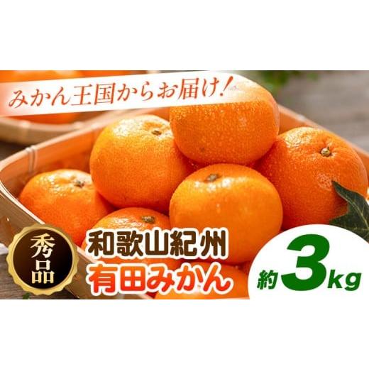 ふるさと納税 果物類 みかん 和歌山県 日高町 秀品 紀州有田みかん 選べる 約3kg (S-Lサイズ混合) 厳選館[2025年11月中旬-1月末頃出荷]和歌山県 日高町 果物…