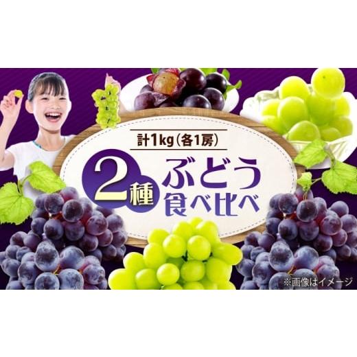 ふるさと納税 ぶどう マスカット 広島県 福山市 先行予約 2026年9月中旬〜9月下旬発送 ぶどう食べ比べセット(ニューベリーA・シャインマスカット) 計1kg 広…