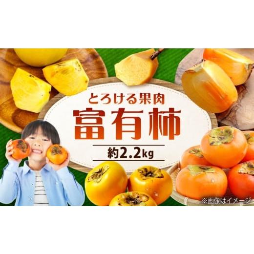ふるさと納税 果物類 柿 広島県 福山市 先行予約 令和7年11月中旬以降発送 福山市産 富有柿 2.2kg 広島県福山市/株式会社フジ・アグリフーズ 柿 かき 甘柿 甘…