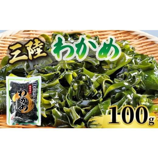 ふるさと納税 のり・海藻 わかめ 岩手県 大船渡市 わかめ 100g 湯通し塩蔵わかめ 海鮮 海藻 魚貝類 魚介類 小分け みそ汁 スープ 酢の物 三陸産 岩手県 大船渡…