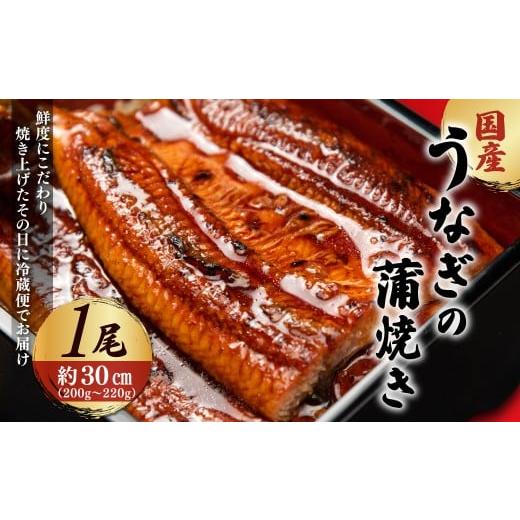 ふるさと納税 うなぎ 京都府 福知山市 「国産うなぎの蒲焼き」1尾 凍らさず美味しさそのまま 〆たて・焼きたてを冷"蔵"で発送 地元飲食店に愛される、美味さ…