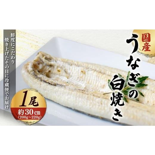 ふるさと納税 うなぎ 京都府 福知山市 「国産うなぎの白焼き」 1尾 凍らさず美味しさそのまま 〆たて・焼きたてを冷"蔵"で発送 地元飲食店に愛される、美味…
