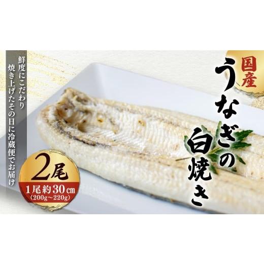 ふるさと納税 うなぎ 京都府 福知山市 「国産うなぎの白焼き」 2尾セット 凍らさず美味しさそのまま 〆たて・焼きたてを冷"蔵"で発送 地元飲食店に愛される…