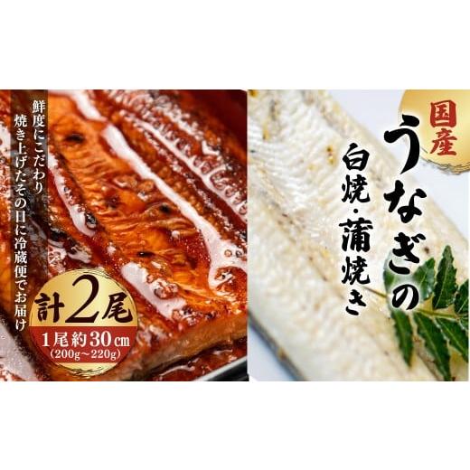 ふるさと納税 うなぎ 京都府 福知山市 「国産うなぎの蒲焼き」×「国産うなぎの白焼き」 計2尾セット 凍らさず美味しさそのまま 〆たて・焼きたてを冷"蔵"で…