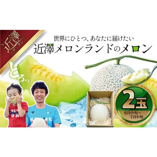 ふるさと納税 メロン メロン青肉 高知県 土佐市 先行予約 メロン 2玉入り(1玉約1.4kg〜1.8kg)青肉 [2027年6月中旬〜7月中旬頃発送]メロン めろん マスク…