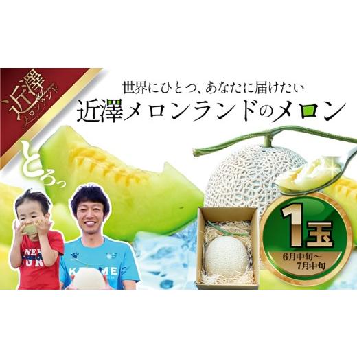 ふるさと納税 メロン メロン青肉 高知県 土佐市 メロン 1玉入り(約1.4kg〜1.8kg) メロン 高知県産 デザート フルーツ ギフト お取り寄せ 先行予約 高知県 土…