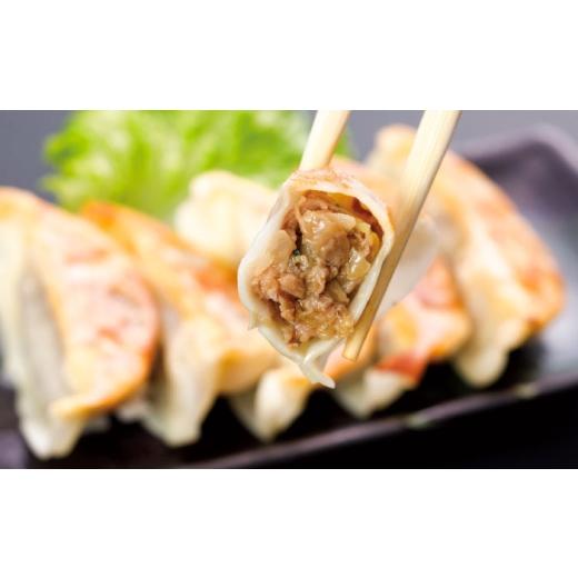 ふるさと納税 牛肉 熊本県 菊陽町 全6回定期便 熊本和牛あか牛ぎょうざセット(60個入り) ／ 餃子 ぎょうざ ギョーザ 熊本県産 国産 菊陽町 冷凍 おかず 冷凍…_2