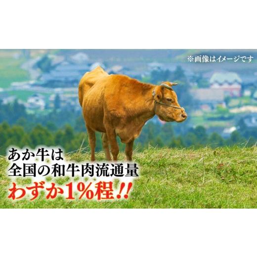 ふるさと納税 牛肉 ハンバーグ 熊本県 菊陽町  全6回定期便 くまモンハンバーグセット（あか牛100％使用） ／ 熊本 ハンバーグ 牛肉 はんばーぐ 牛肉ハンバー…_3