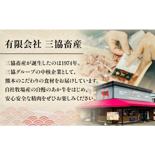 ふるさと納税 牛肉 ハンバーグ 熊本県 菊陽町  全6回定期便 くまモンハンバーグセット（あか牛100％使用） ／ 熊本 ハンバーグ 牛肉 はんばーぐ 牛肉ハンバー…_6
