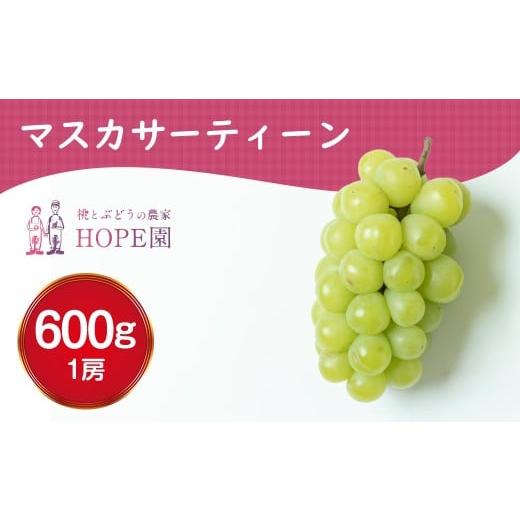 ふるさと納税 ぶどう マスカット 山梨県 笛吹市 2026年発送 先行予約 安心のクール便発送 マスカサーティーン 1房 600g ふるさと納税 ぶどう 葡萄 マスカサ…