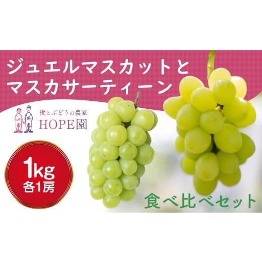 ふるさと納税 果物の詰合せ 山梨県 笛吹市 2026年発送 先行予約 安心のクール便発送 食べ比べセット ジュエルマスカット&マスカサーティーン 1kg 各1房 ふ…