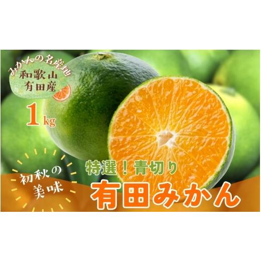 ふるさと納税 果物類 みかん 和歌山県 すさみ町 先行予約 2026年9月発送 特選 青切り有田みかん 約1kg+200g(傷み補償分) 2026年9月中旬〜10月上旬頃に順次…