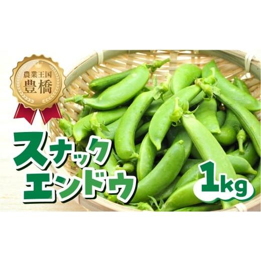 ふるさと納税 野菜類 愛知県 豊橋市 先行予約 スナックエンドウ 約1kg エンドウ スナップエンドウ サラダ 野菜 料理 夕飯 おかず 栄養バランス シャキシャキ …