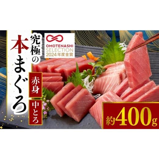 ふるさと納税 マグロ 高知県 宿毛市 本まぐろ赤身・中とろ2柵セット 赤身・中とろ 400g(26,000円)