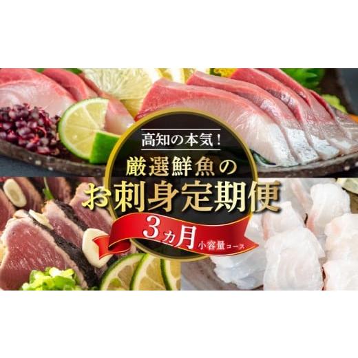 ふるさと納税 魚貝類 鯛 高知県 須崎市 刺身 定期便 3ヶ月 小容量 コース 小島水産 産地直送 かつお ブリ 真鯛 3回 新鮮 乙女鯛 乙女ブリ 藁焼き かつおタタキ…