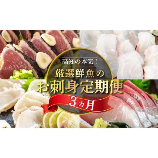 ふるさと納税 魚貝類 鯛 高知県 須崎市 刺身 定期便 3ヶ月 お好きなお魚が選べる 小島水産 産地直送 3回 新鮮 かつおタタキ 真鯛 ブリ 刺身 乙女鯛 乙女ブリ …