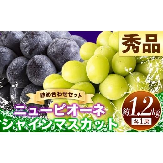 ふるさと納税 ぶどう マスカット 岡山県 笠岡市 岡山県産 秀品 シャインマスカット ニューピオーネ 詰め合わせ 約1.2kg 2房 葡萄 果物 厳選出荷 スイーツ フル…